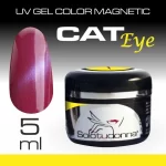 GEL COLOR CAT EYE 213 - 5 ml